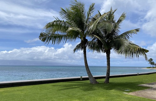 Kahana Condo | SO CLOSE YOU CAN HEAR THE OCEAN-Oceanfront-Unobstructed View-Quiet Top Floor