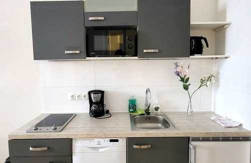 Innere Stadt Apartment | Sobieski City Center Apartments