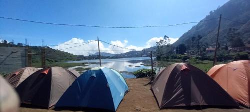 Kejajar Other | Sochech Camping Ground