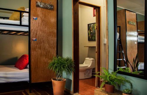 Monteverde Hotel | Socialtel Monteverde