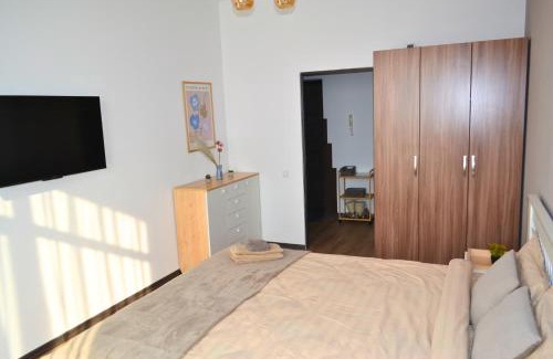Riscani Apartment | Socoleni City Flat