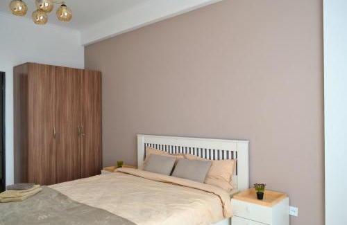 Riscani Apartment | Socoleni City Flat
