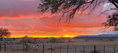 Beaufort West House | Soetdorings Farmstay Karoo Chalet