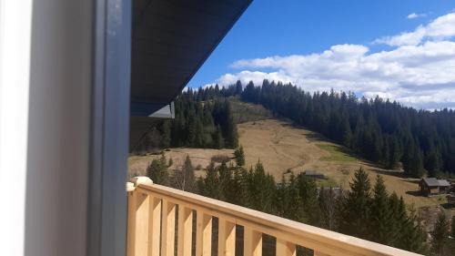 Yablunytsya House | Sofi