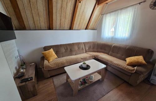 Njegovuđa Apartment | Soko Guest House