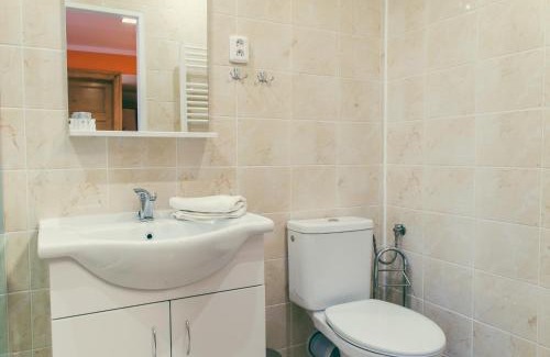 Bohumin Apartment | Sokolovna
