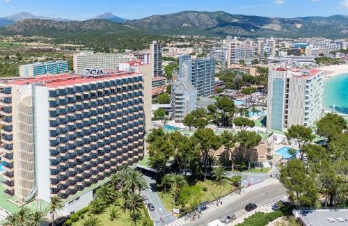 Calvia Hotel | Sol Barbados