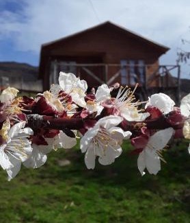 Luis Soto Bed & Breakfast | Sol de la Patagonia