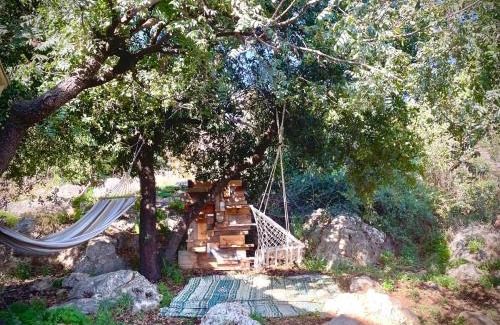 Amirim House | Solara Cabin
