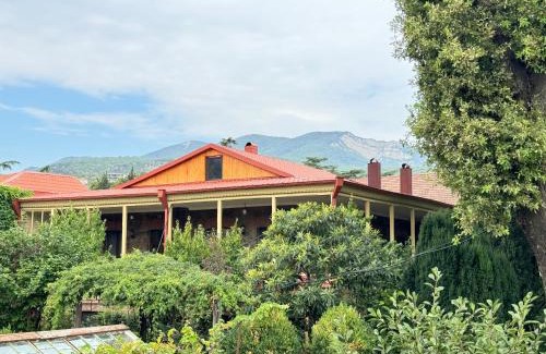 Mtskheta House | soleil d'or