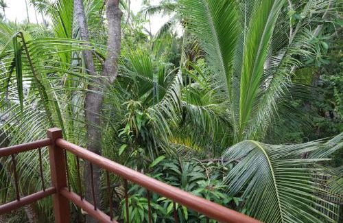Ixtapa - Zihuatanejo Apartment | Solez Zihuatanejo