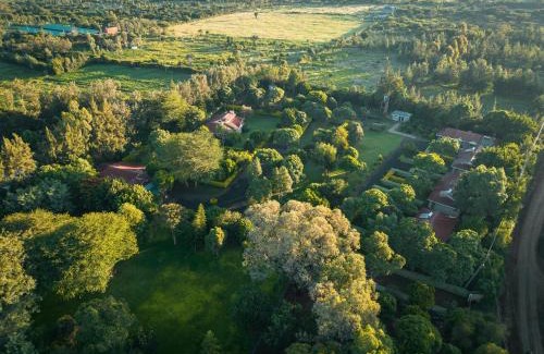 Nanyuki Bed & Breakfast | Solio Gardens Nanyuki