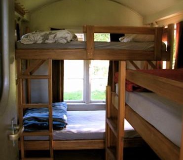 Raglan Cabin | Solscape