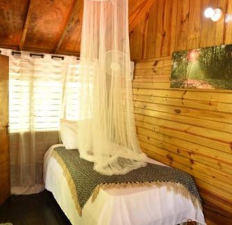 Little London Cabin | Somali Jungle Eco Lodge and Cabins