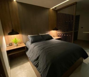 Chihuahua Apartment | Somark Suites