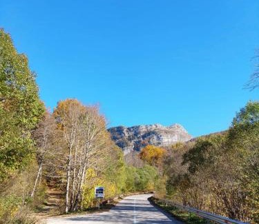 Savnik Bed & Breakfast | Somina