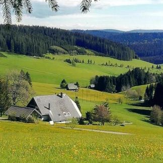 Titisee-Neustadt Apartment | Sommerruhe