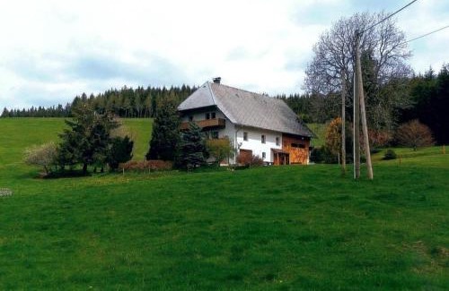 Titisee-Neustadt Apartment | Sommerruhe