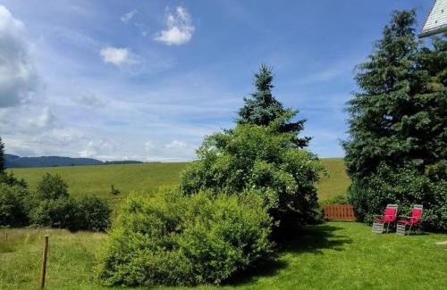 Titisee-Neustadt Apartment | Sommerruhe