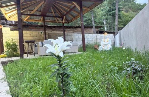 Paro Apartment | Sompal Serviced Apartment