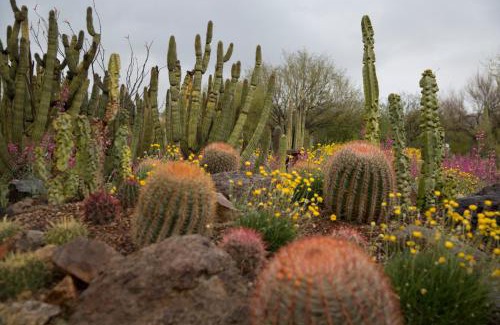 Continental Ranch House | Sonesta Tucson