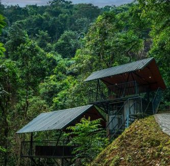 Elappara Resort | Song Of The Trees Nature Stay Kutitkanam by LexStays