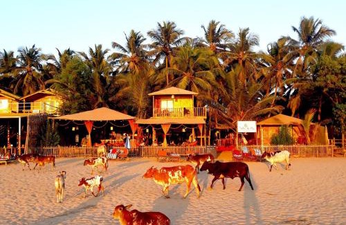 Agonda Resort | Sonho do Mar