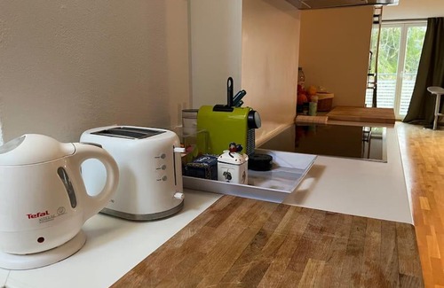 Feusisberg Apartment | Sonnige Loft mit Terrasse, Ladestation für Elektrofahrzeuge