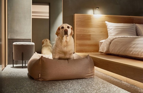 Seo Resort | Sono Pet Clubs & Resorts VivaldiPark