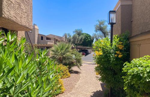 South Scottsdale Apartment | Sonoran Starlight