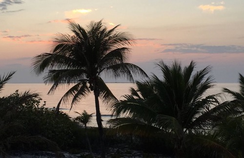 West End Apartment | Sonscape - an Island Paradise Swaying Palms, Tropical Breezes