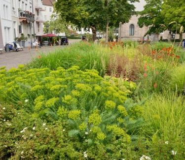 Baden Baden Old Town Apartment | Sophienstrasse Appartement