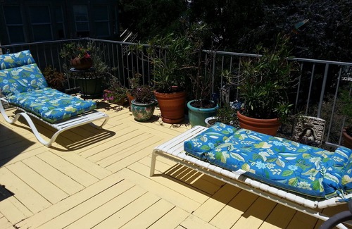 North of the Panhandle Condo | Sophisticated 2BR with parking - centrally located!
