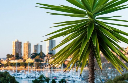 Rushcutters Bay Apartment | Sophisticated penthouse in the exclusive waterfront location *25% DISCOUNT!