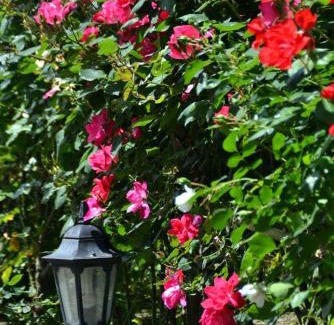 Sorrento Bed & Breakfast | Sosò