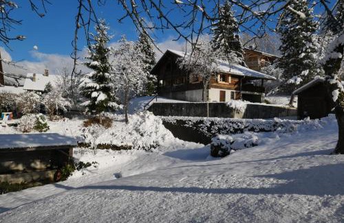 Les Villards-sur-Thones Ski Chalet | Sous les Ecotagnes