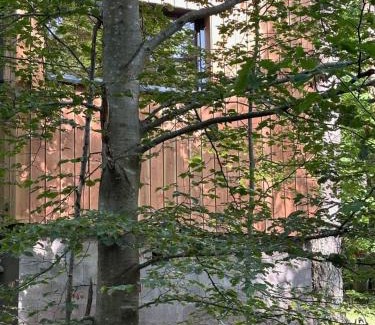 Labaroche Cabin | Sous Les Pins