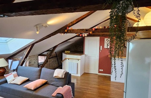 Cahors Old Town Apartment | Sous les toits de Cahors - 3eme étage