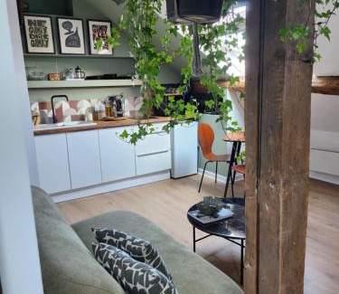 Blois Apartment | Sous les toits de Triboulet