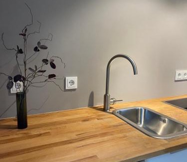 Hochschulviertel Apartment | Souterrain Wohnung in einer Stadtvilla