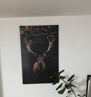 Offenburg Apartment | Souterrainwohnung Offenburg