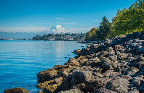 Central Tacoma Hotel | South Cedar Escape
