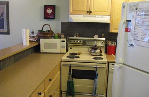 Courtenay House | South facing 2 story family townhome in the rustic old Mount Washingon Village.