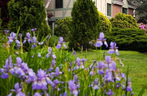 Village of Southampton Hotel | Southampton Inn