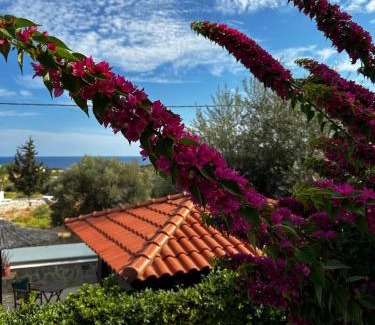 Gennadi Apartment | Southern Dreams Apartments
