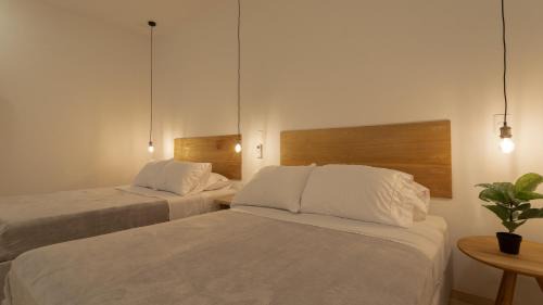 Zona Rosa Apartment | Soy Local Primavera