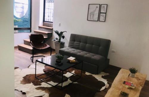 Zona Rosa Apartment | Soy Local Primavera