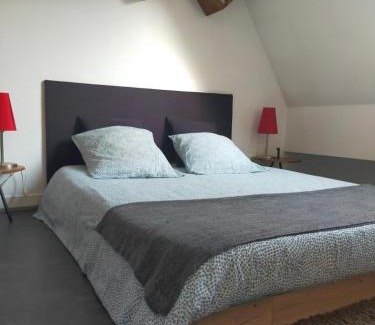 Sart-Babylone Apartment | spéculoos et chicorée