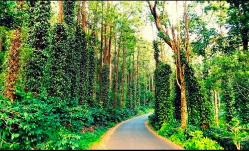 Manjakuttai House | SP cottage&home stay