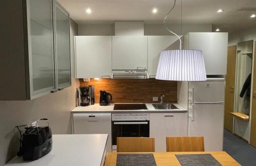 Imatra Apartment | Spa Chalet Erica
